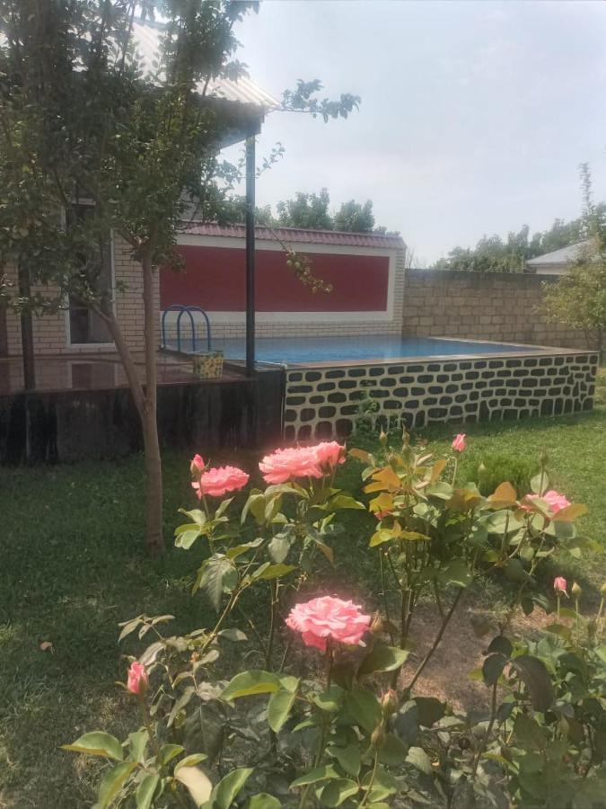 גאלבה Villa Vilish מראה חיצוני תמונה