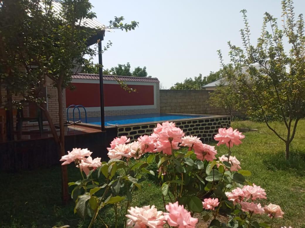 גאלבה Villa Vilish מראה חיצוני תמונה